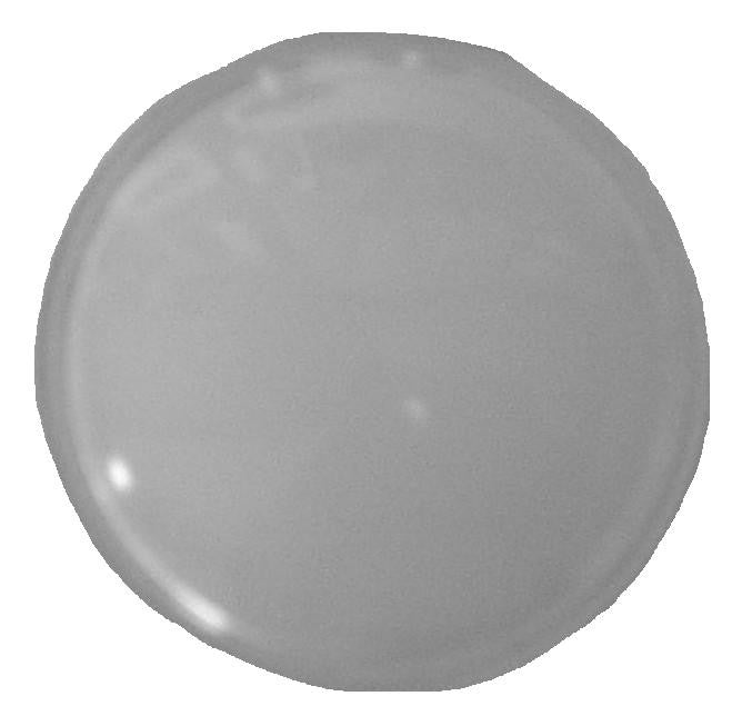 A-13779 Dome Light Lens - Round Milky Type