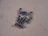 A-48590-PU Set of 11 door hinge screws- Fits ONLY 1928-1929 Closed Cab Pickup - Countersunk slotted 12/24 x 1/2"