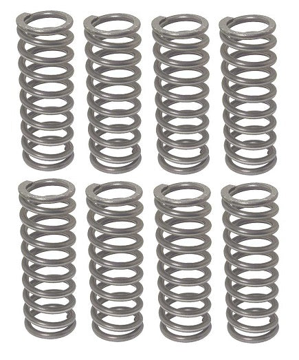 A-6513 Valve Springs - set/8