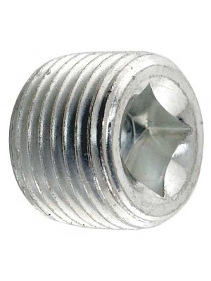 A-4030  Differential Drain/Fill Plug