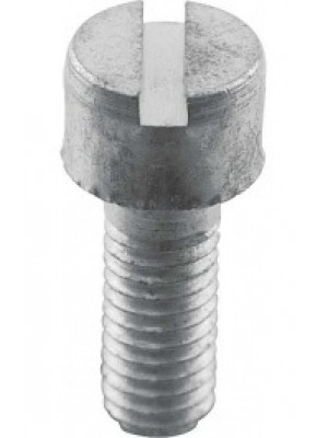 A-13804  Horn Adjustment Screw