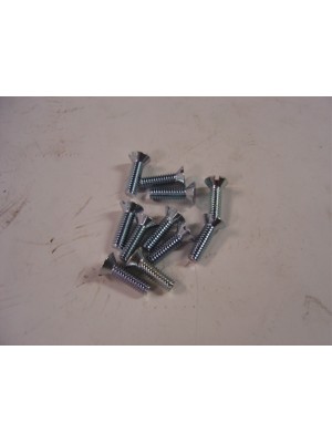 A-48590-PU  Set of 11 door hinge screws- Fits ONLY 1928-1929 Closed Cab Pickup - Countersunk slotted 12/24 x 1/2"