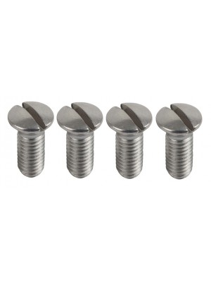 A-11806-C  Instrument Panel Screw Set- 1928-early 1930- Chrome